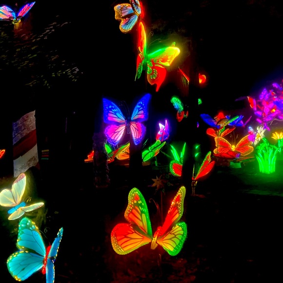 Meet your Posher, Brittany - Picture 1 of 1